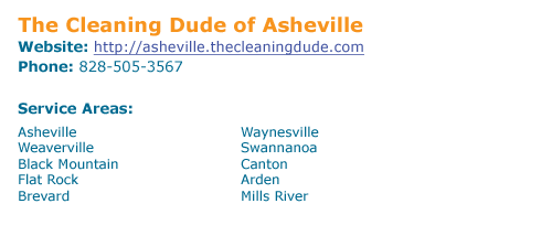 The Cleaning Dude of Asheville